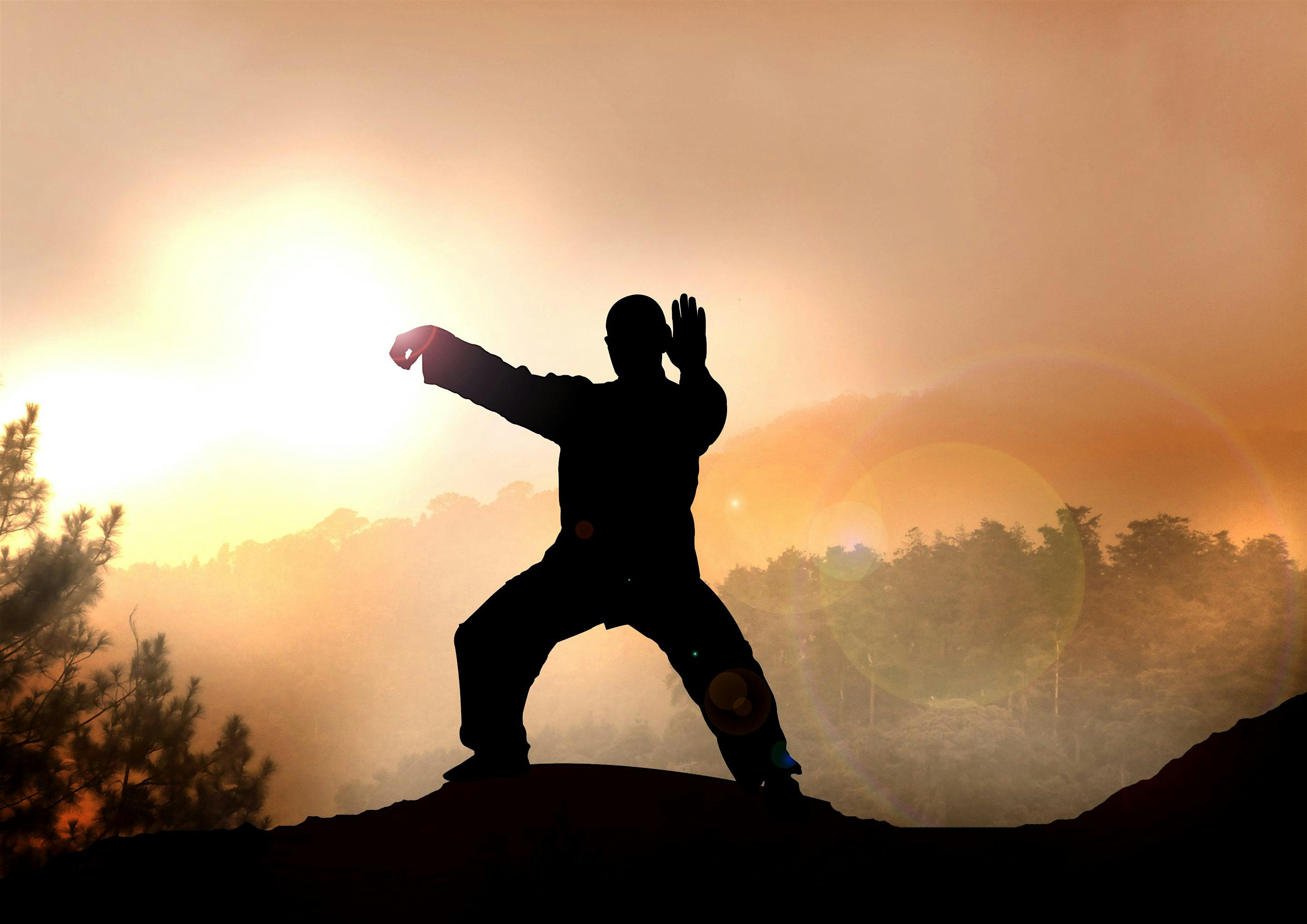 5 Animals Qigong: The Tiger