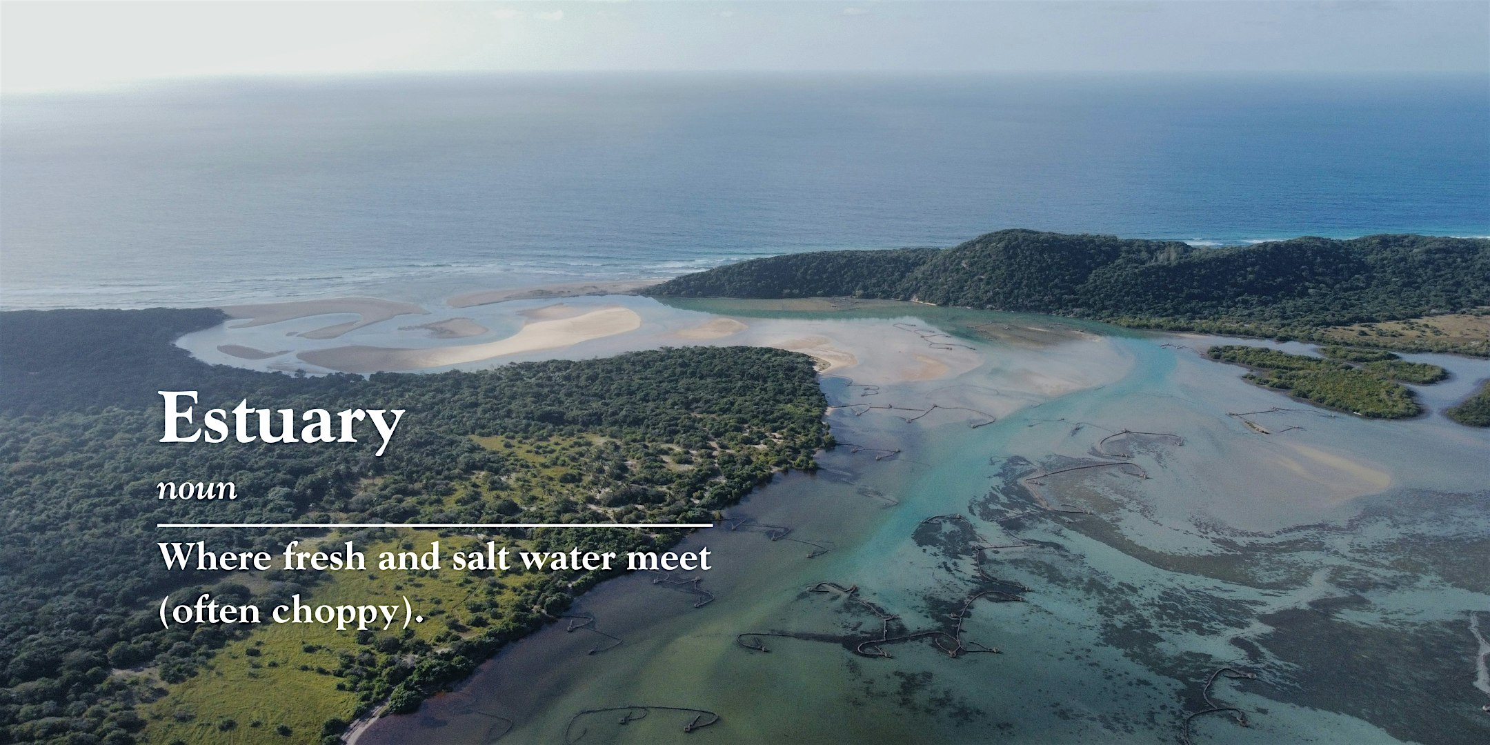 Austin Estuary