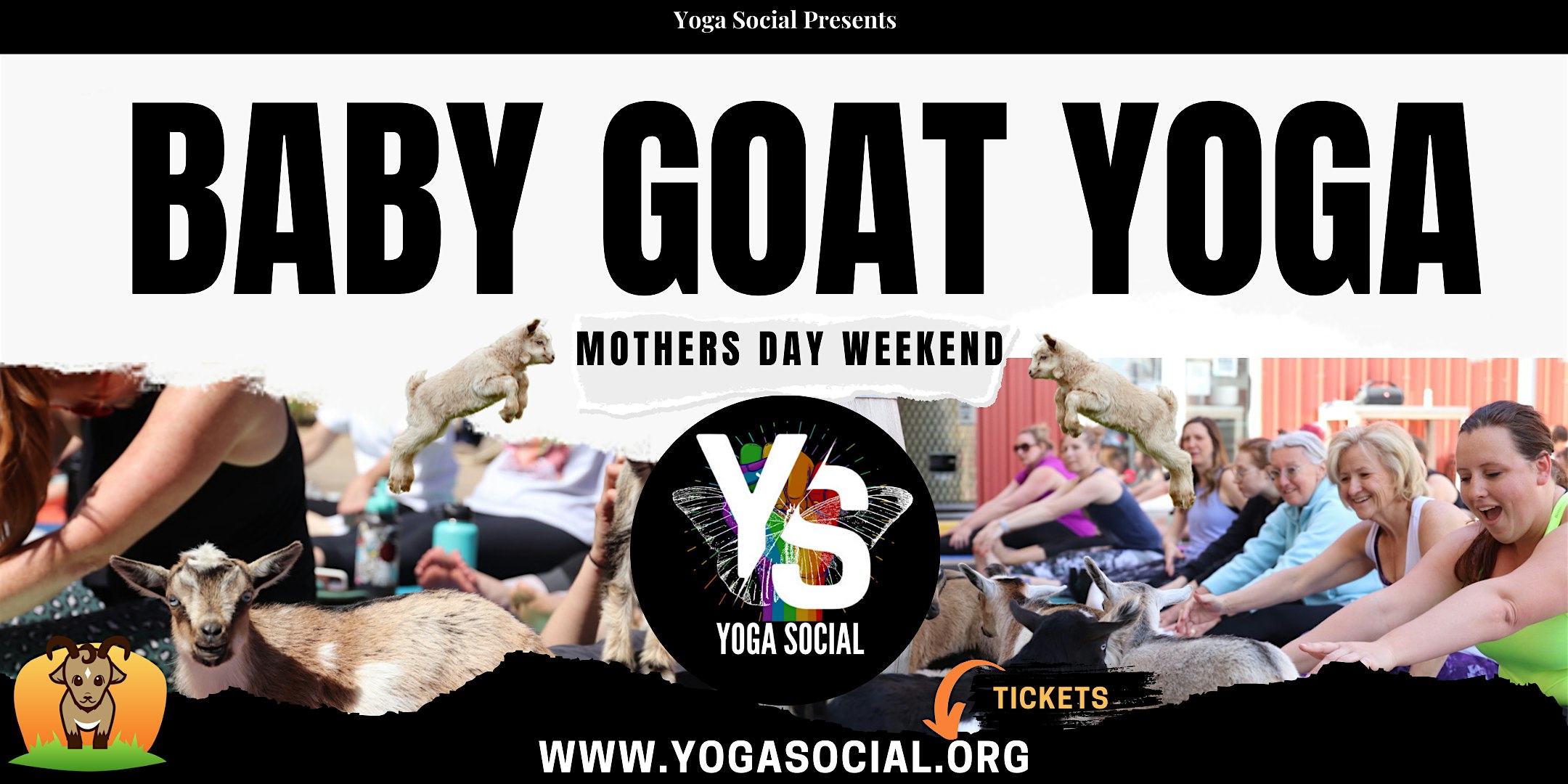 Baby Goat Yoga & Mimosas – Mother’s Day Weekend in Denver