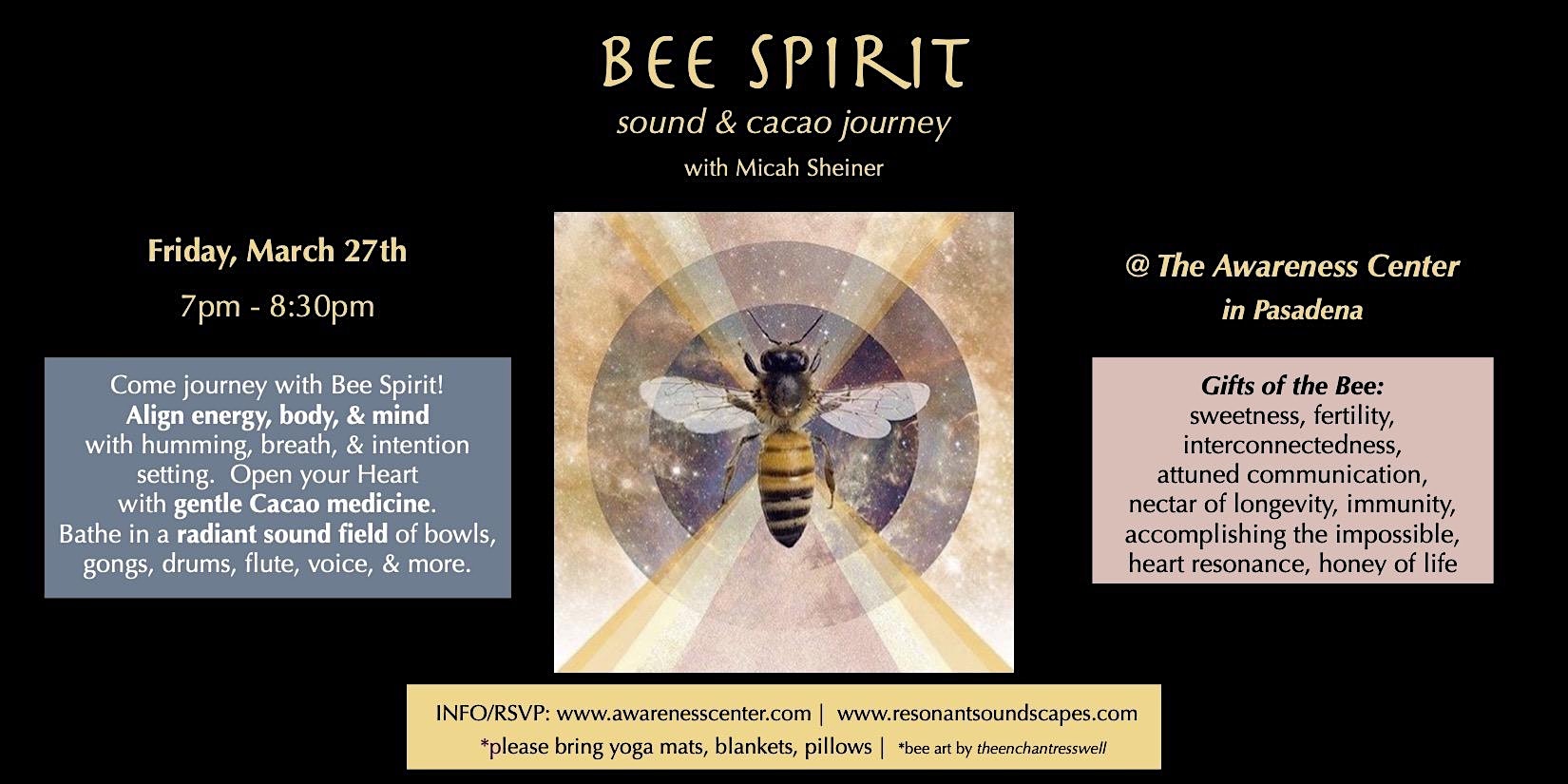 ✨Bee Spirit~ Sound & Cacao journey  w/Micah  Sheiner✨