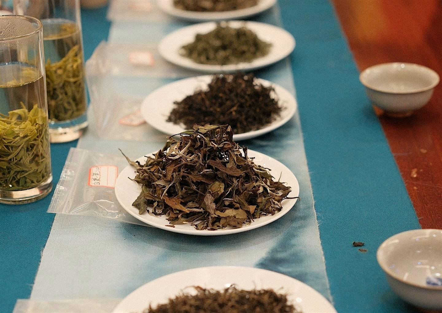 Chinese Tea Tasting
