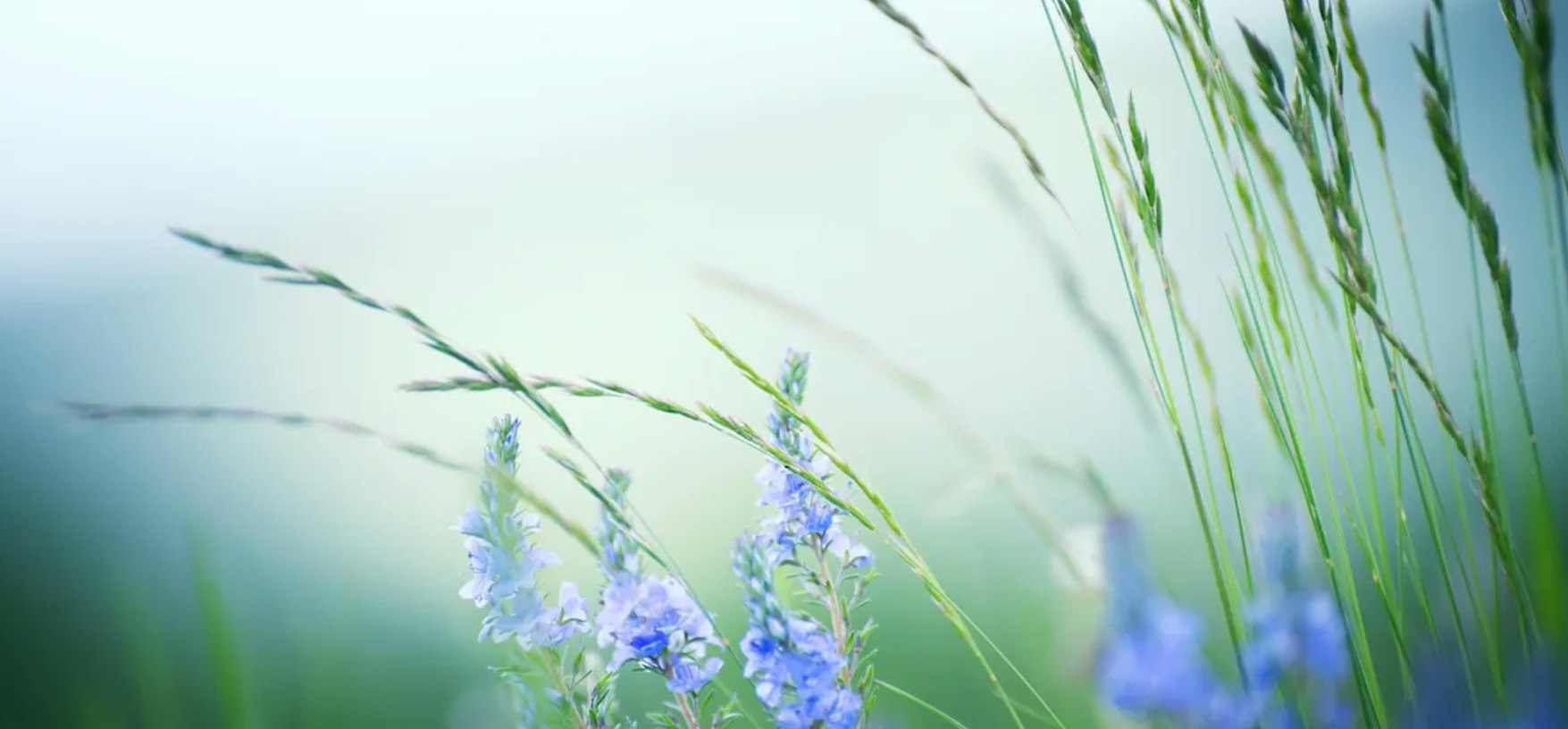 Creating Serenity: Practical Ways to Cultivate Grace