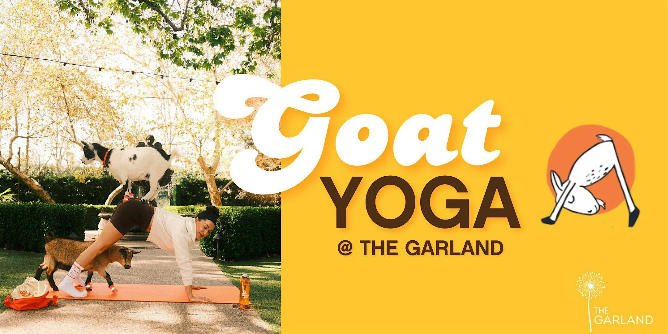 Goat Yoga @ The Garland
