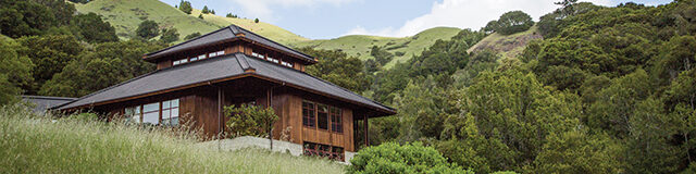 Insight Meditation Retreat: A Path to Clarity and the Cultivation of the Heart of Wisdom