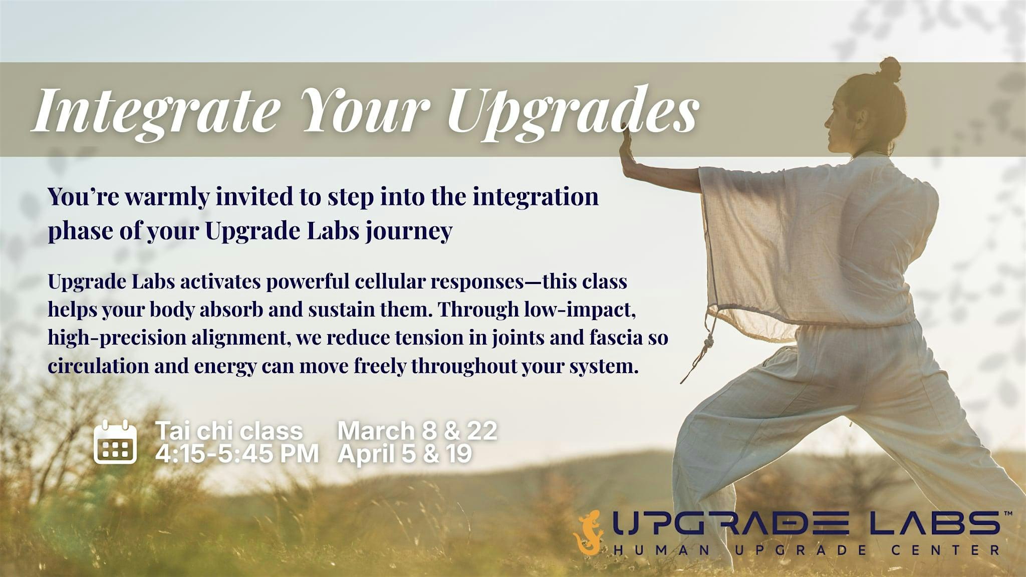 Integrate Your Upgrades - Tai Chi Class