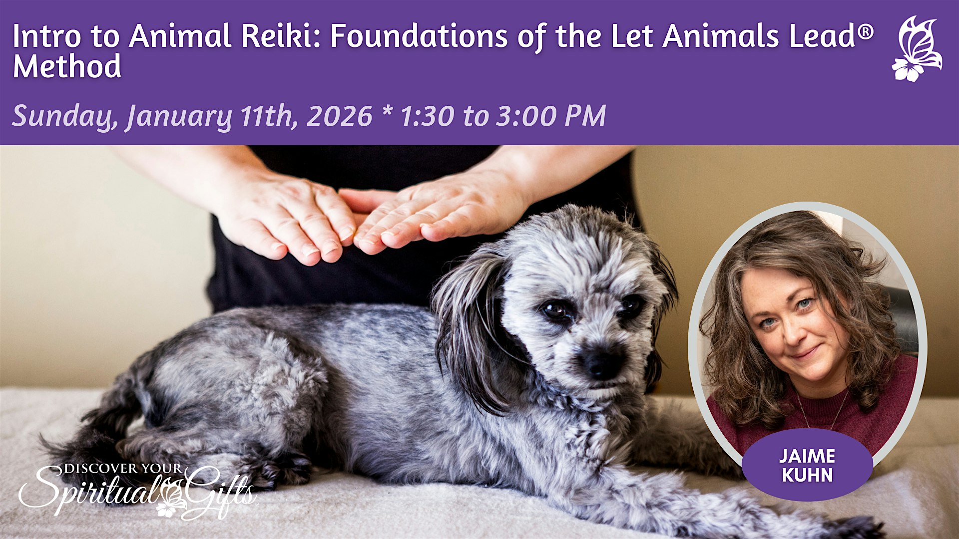 Intro to Animal Reiki: Foundations of the Let Animals Lead® Method