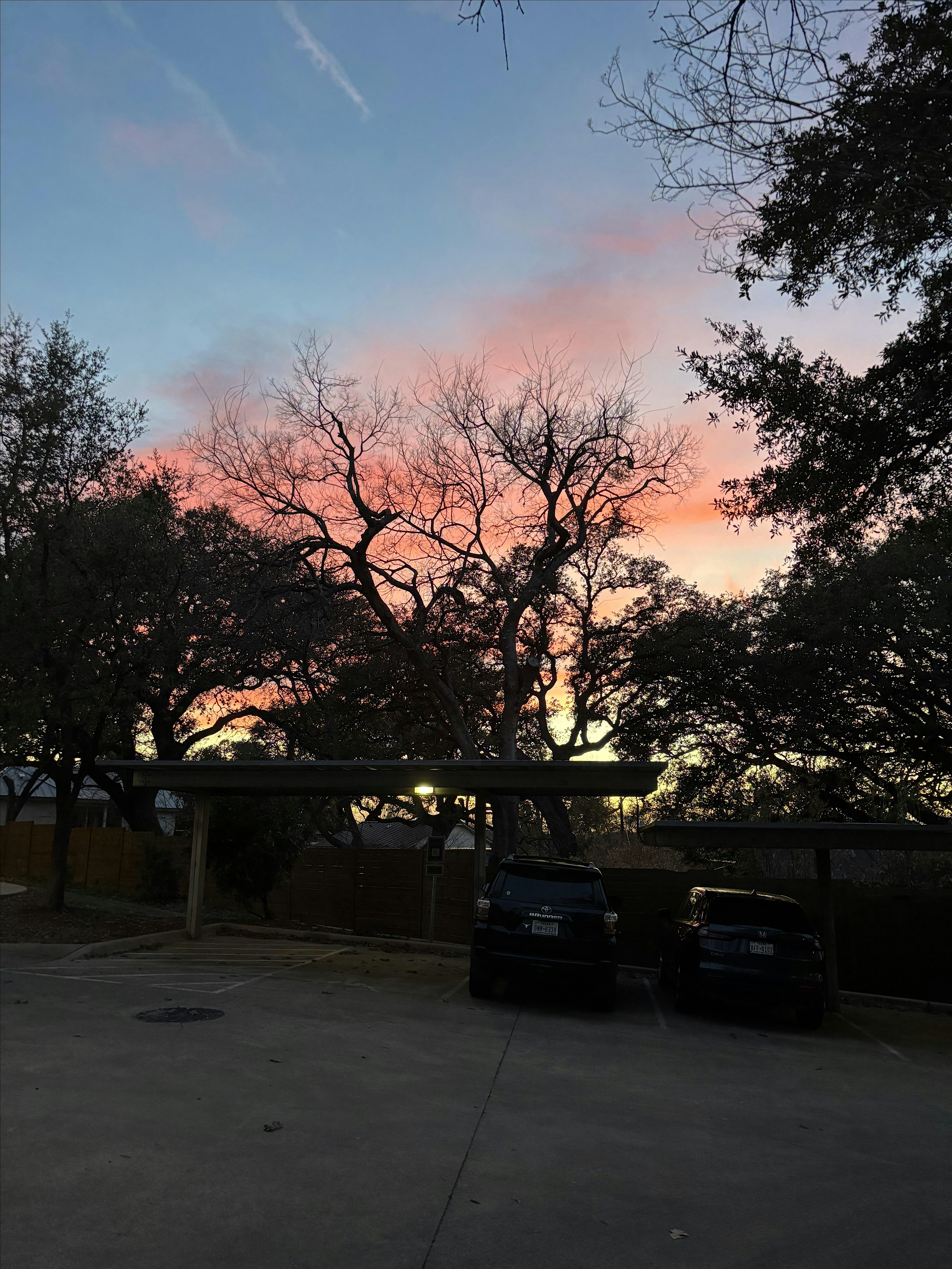 June Sunset Mindfulness Walk