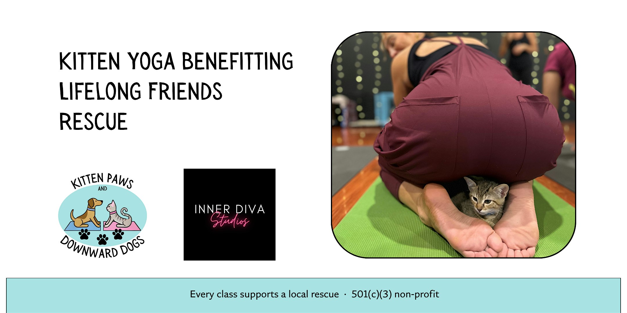 Kitten Yoga — Benefitting Life Long Friends Rescue