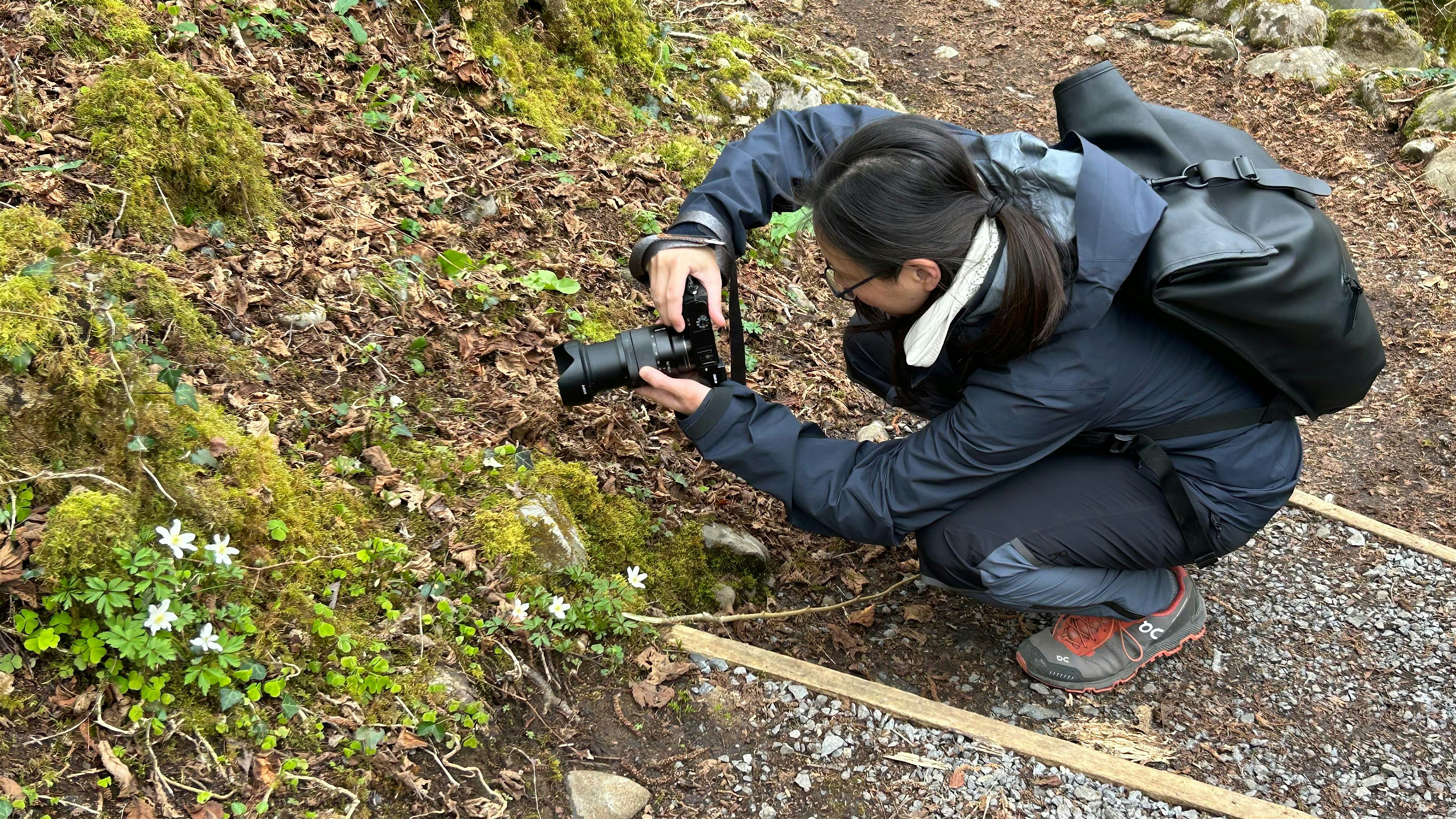 Mind-Nature Connection Walk at Nalle Bunny Run Wildlife Preserve