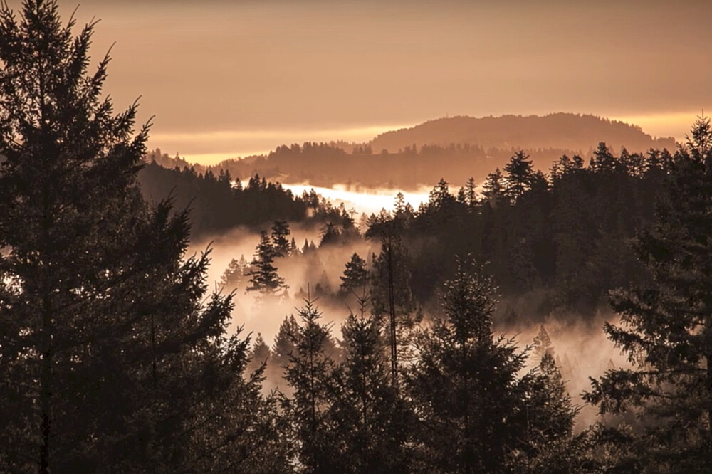 Mindful Money: Honest Conversations in Uncertain Times