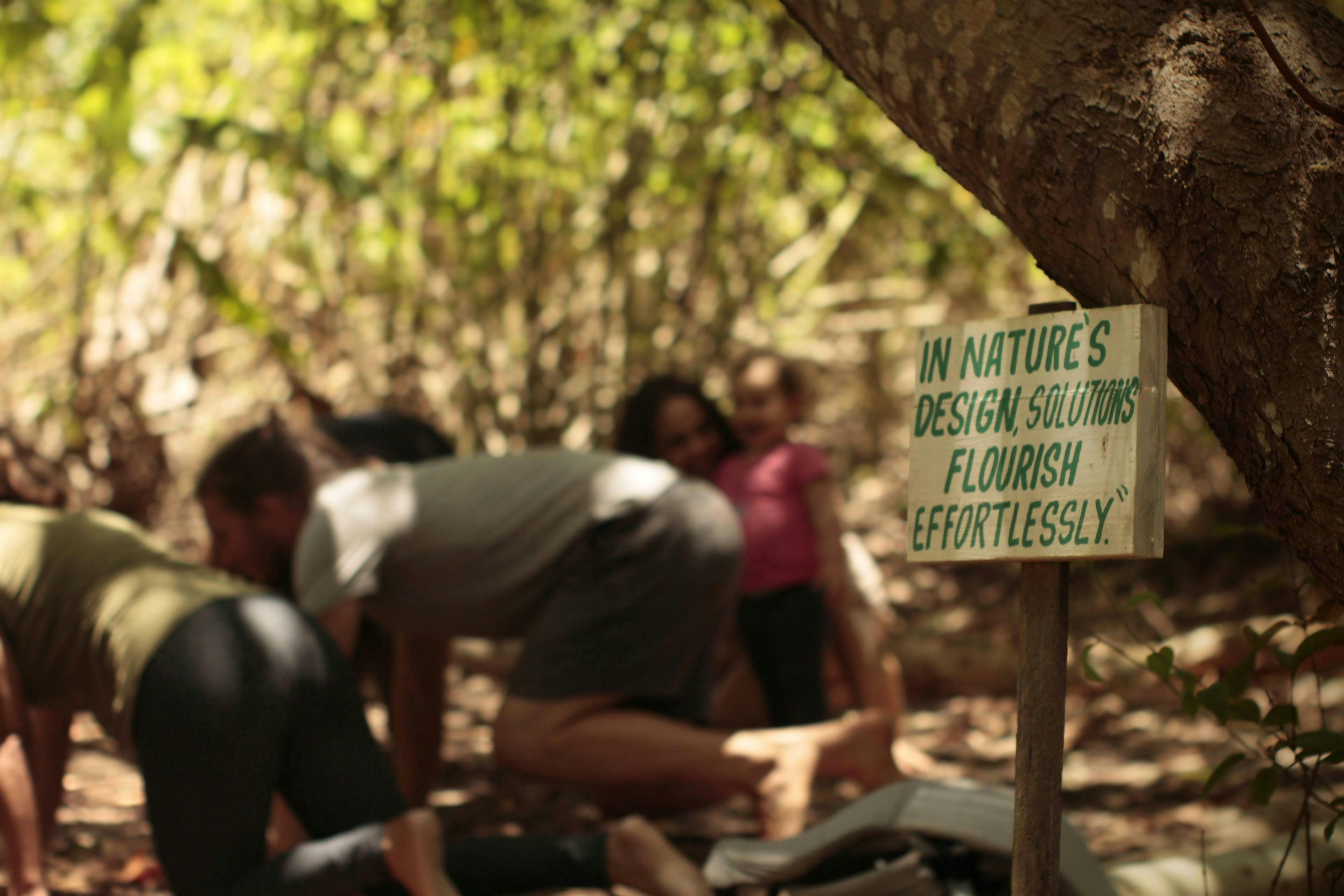 Practice Somatic Healing and Heart Coherence Workshop in Nature