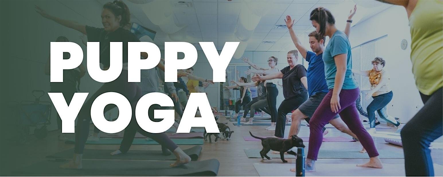 Puppy Yoga
