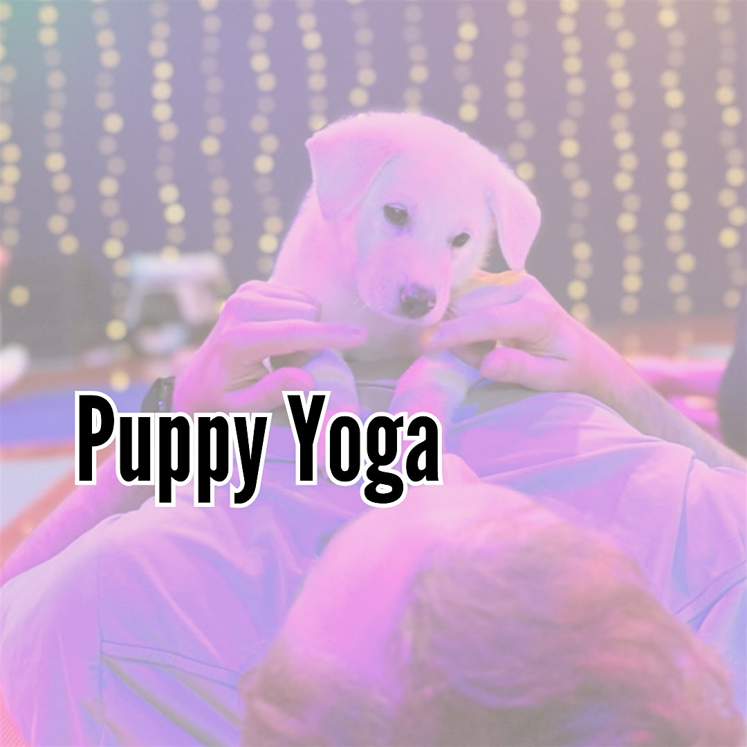 Puppy Yoga Benefitting PAWS Shelter of Central Texas