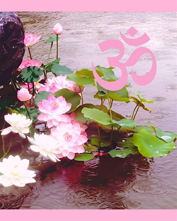 Recovery Dharma Southwest Austin Day Retreat