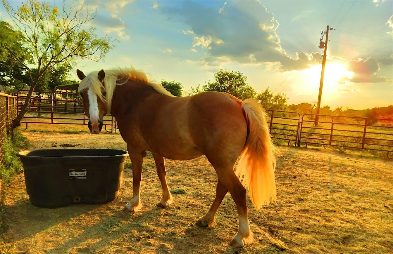 Relax & Recharge in Nature