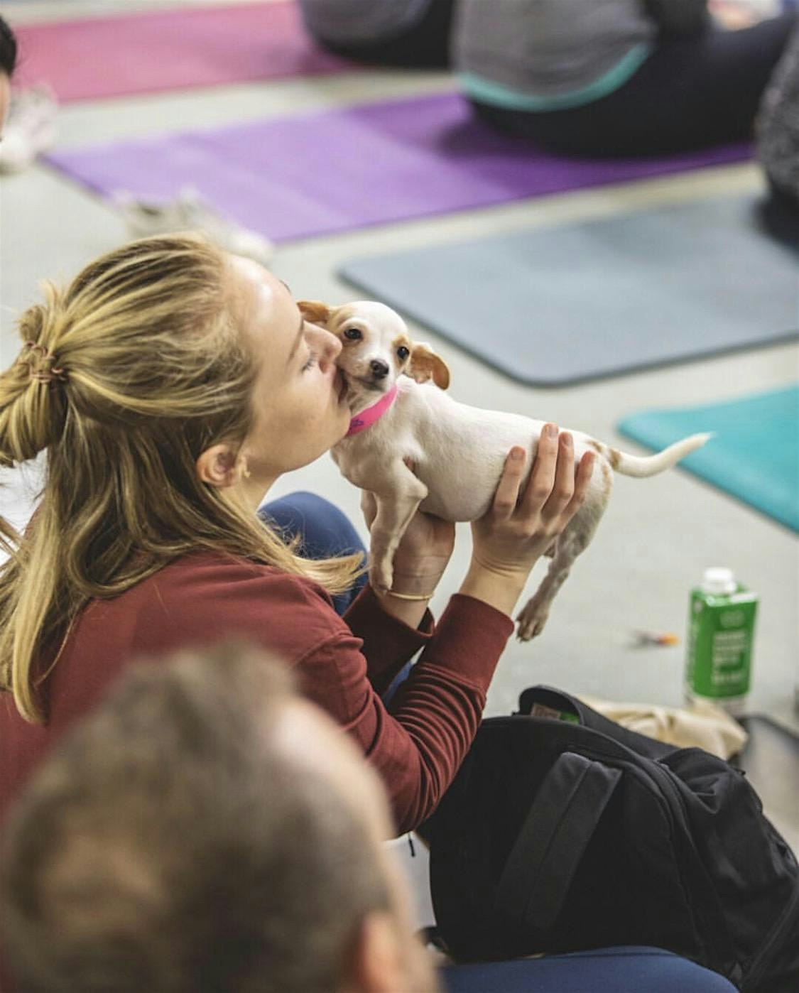 Rescue Puppy Yoga