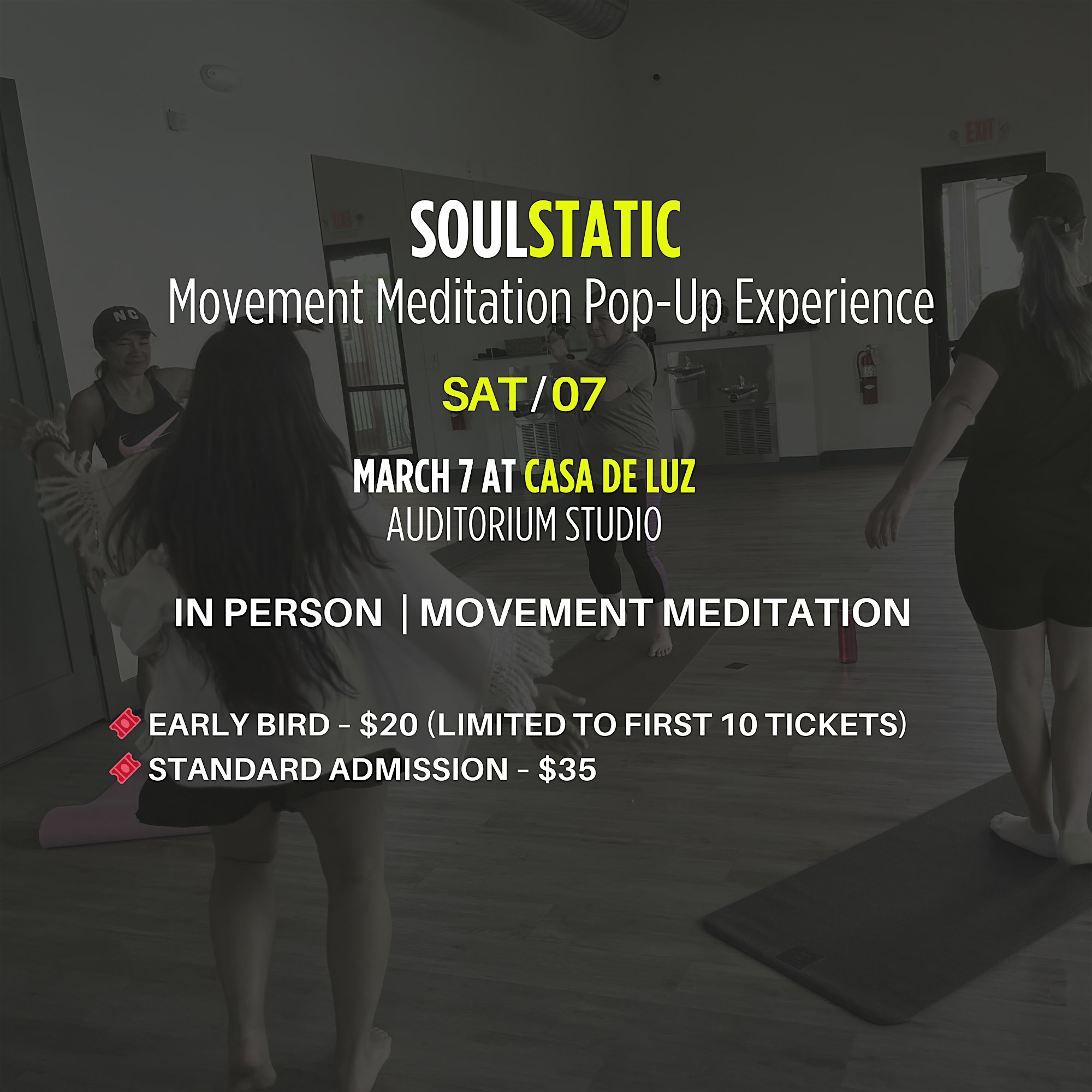 SoulStatic: Somatic Strength & Emotional Release (The Soul Gym Experience)