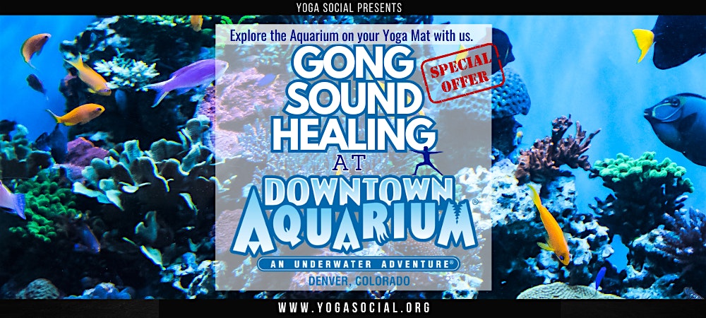 Sound Healing Gong Bath at the Downtown Aquarium in Denver with Yoga Social