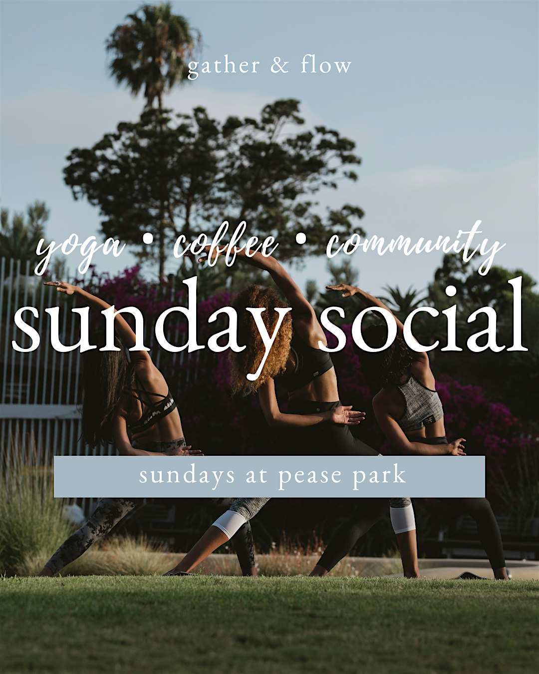 Sunday Social: Yoga + Coffee at Pease Park ☀️