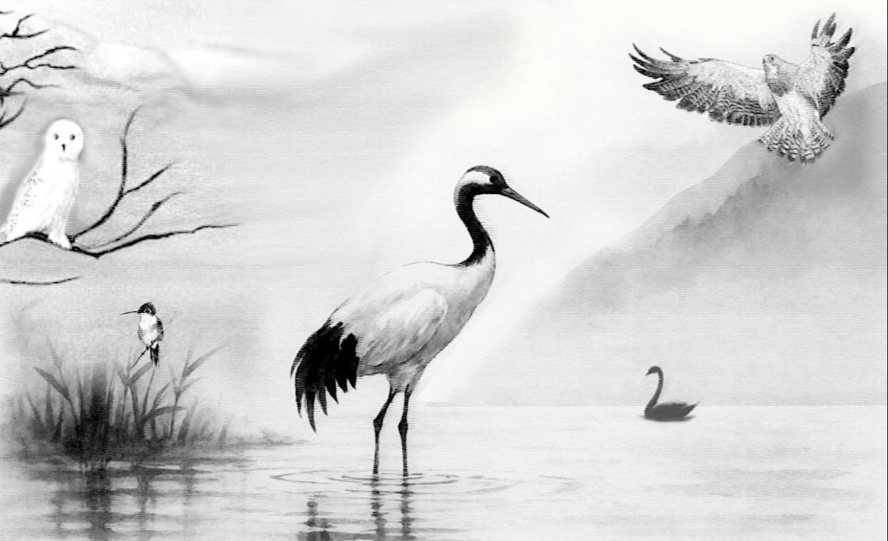 Taking Flight: Sound Healing Journey