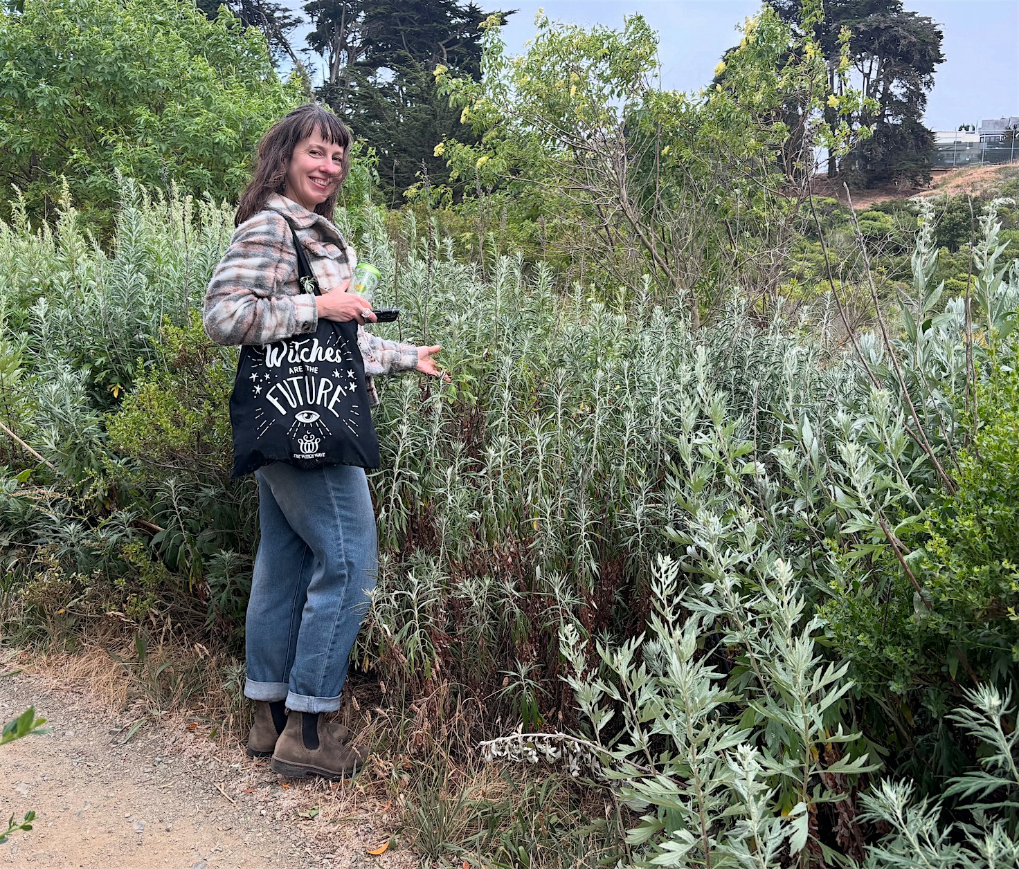 The Magic of Wild Mugwort & Pine Plant Walk