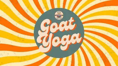 Baby Goat Yoga