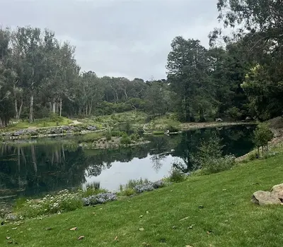 Hike with the Integral Psychedelic Community - SF