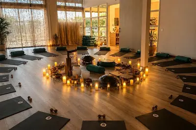 Nervous System Reset