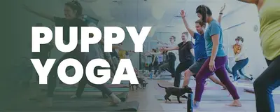 Puppy Yoga