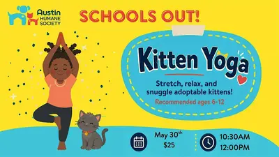 School's out! Kitten Yoga at the Austin Humane Society