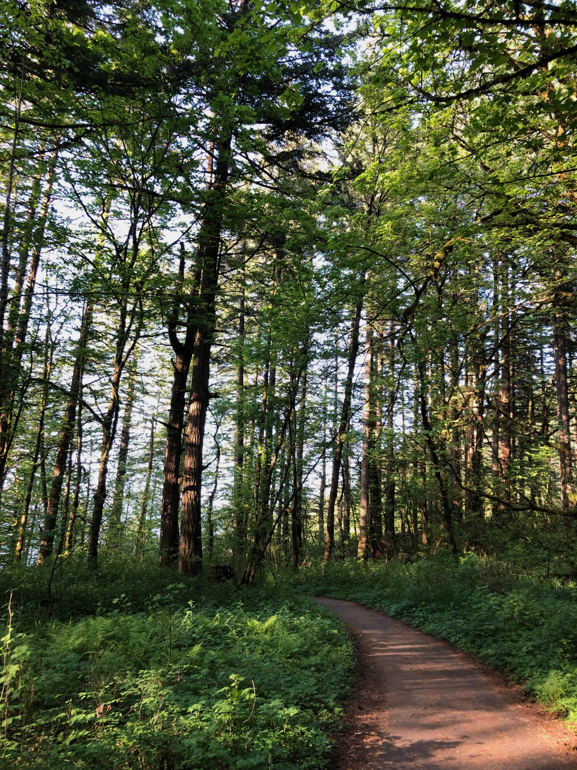 Usui/Holy Fire Reiki 1 & 2 — Weekend Certification Class