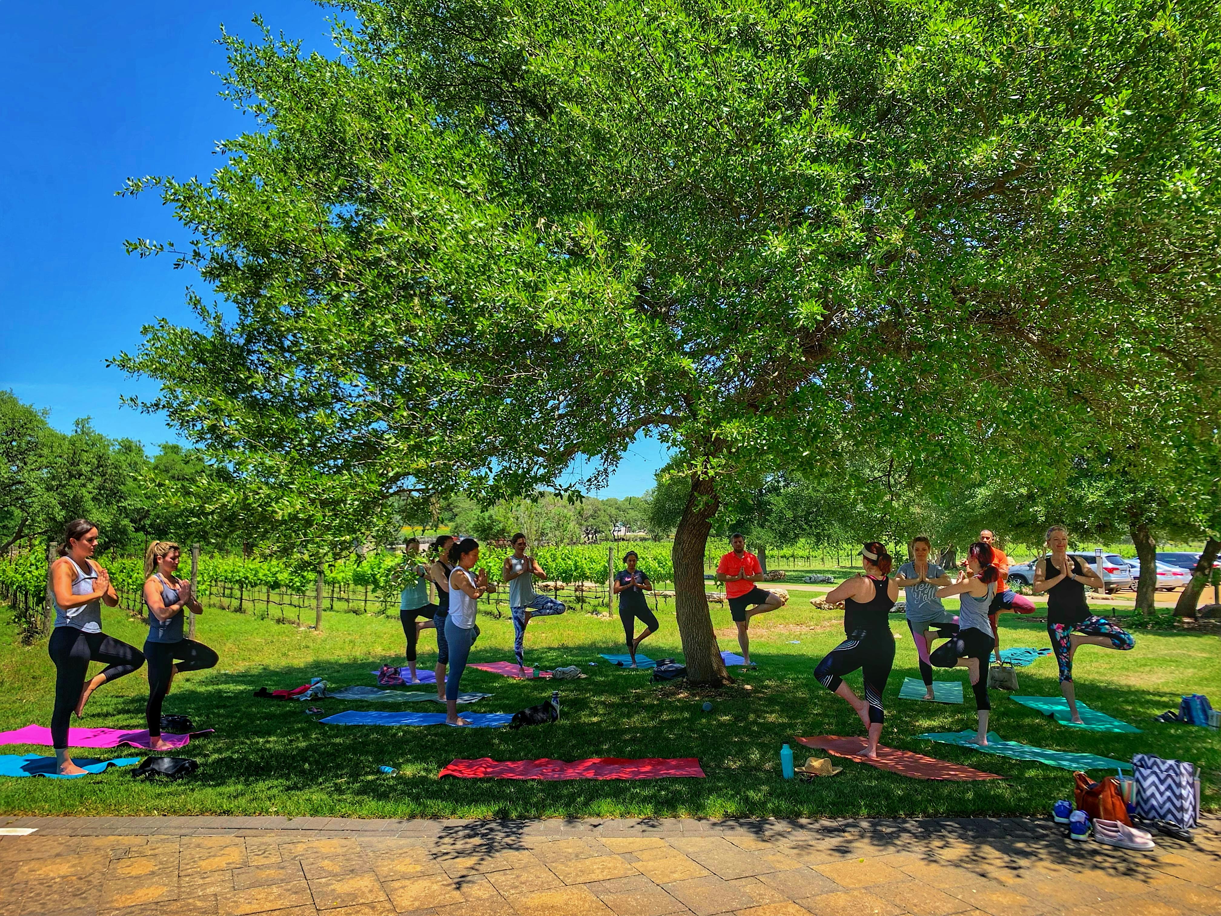 Vino Vinyasa at Fall Creek Vineyards
