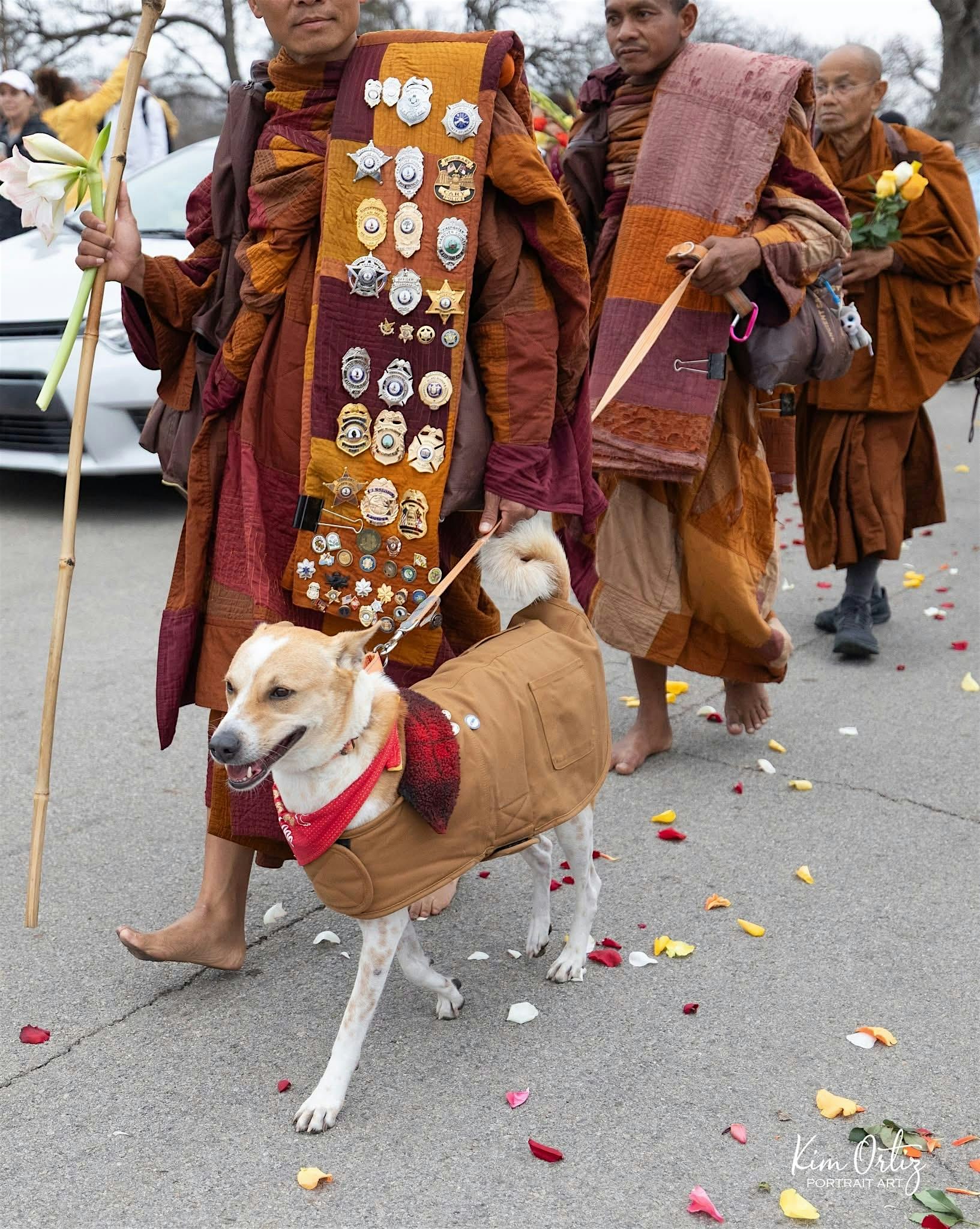 Walk for Peace Mindfulness Meetup