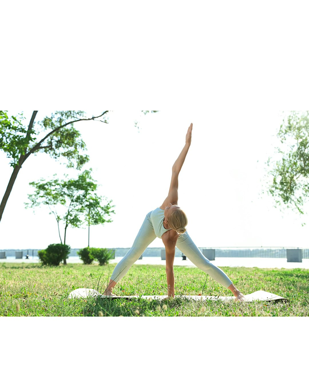 Wellness in the Park