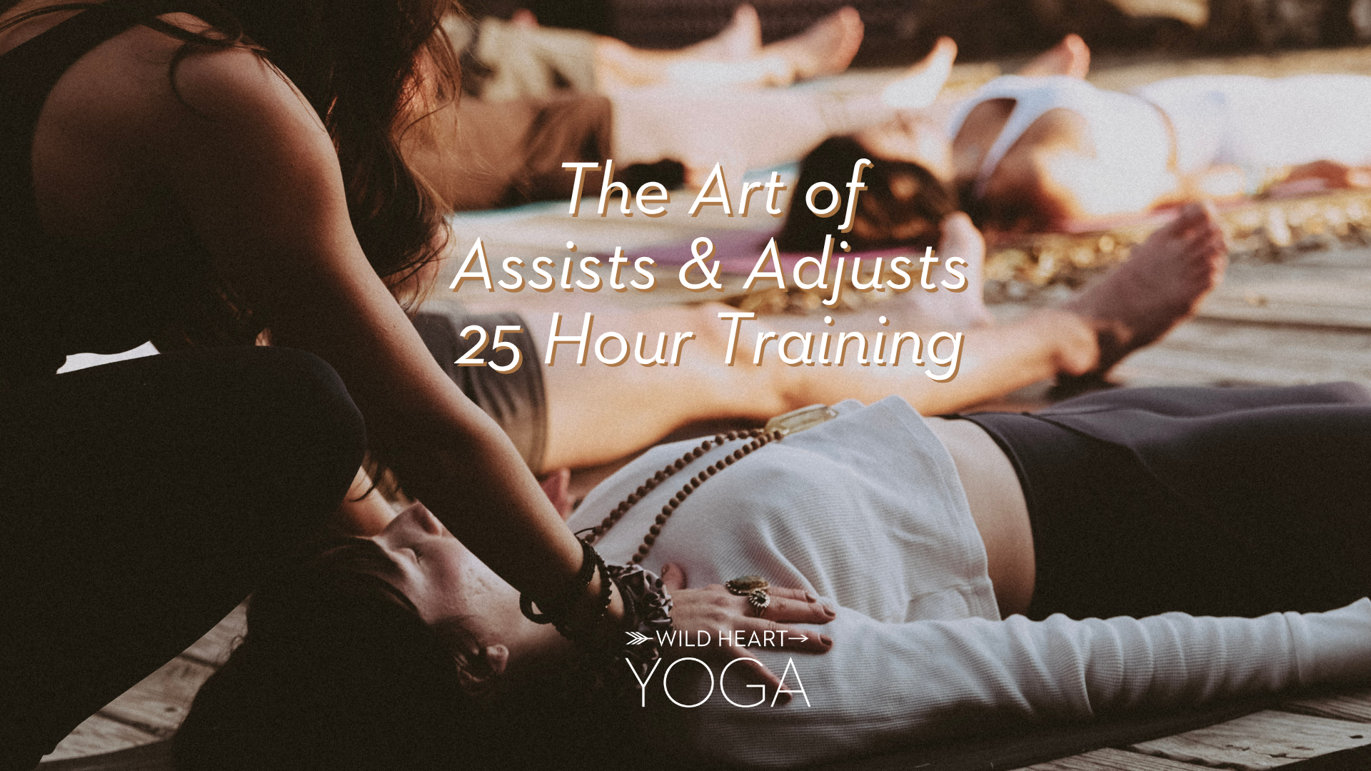 The Art of Assists & Adjusts Training