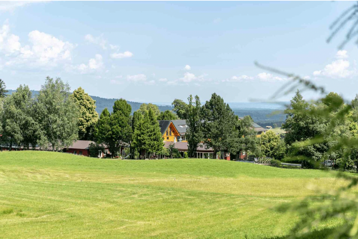 Mid-Summer Yoga Retreat  with Mark Stephens
